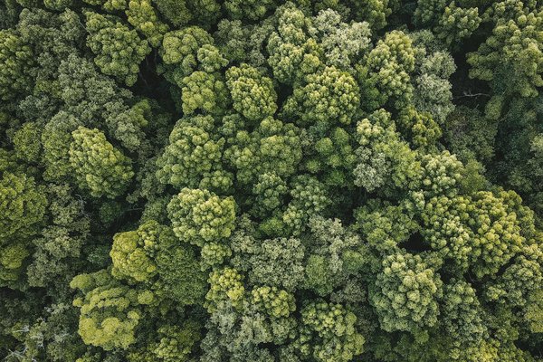 Usinage sur site : choisissez l'expertise avérée